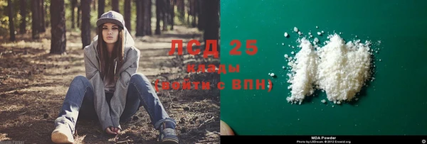дмт Белокуриха