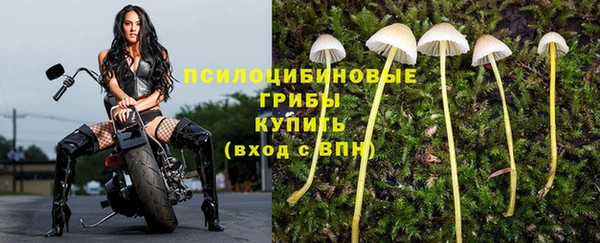 винт Белоозёрский