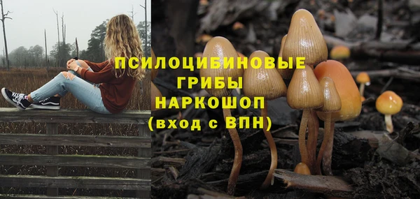 винт Белоозёрский