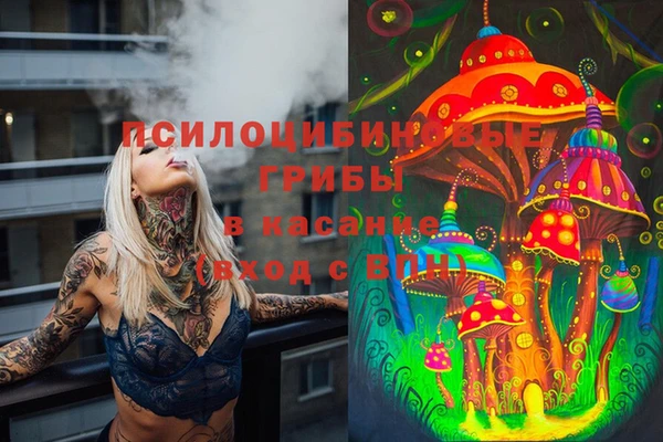 ECSTASY Сафоново
