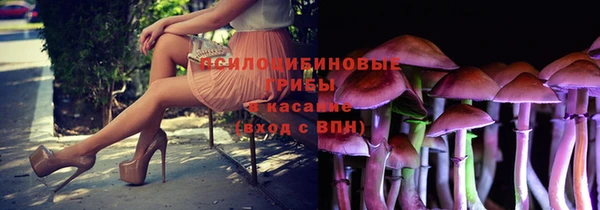 дмт Белокуриха