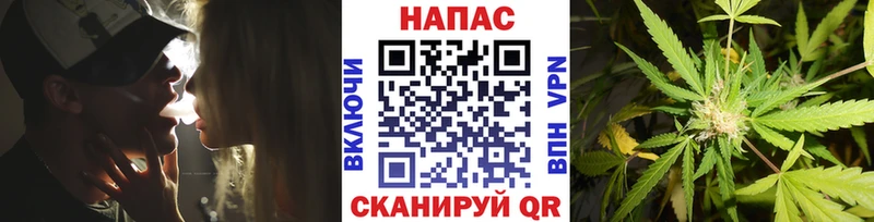 маркетплейс наркотические препараты  Верея  Марихуана семена 
